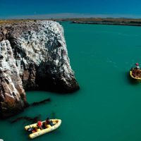 El rincón de la Patagonia que maravilló a Darwin en 1833 y aún conserva su magia: cómo llegar