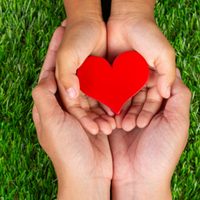 Día de la Donación de Órganos: una fecha para tomar conciencia y salvar vidas
