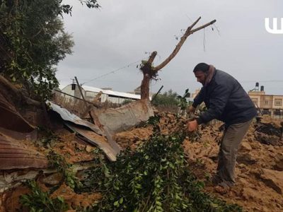 CPI abrirá una investigación formal sobre los crímenes de guerra en Palestina