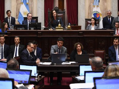 El Senado aprobó la Ley Bases tras horas de intenso debate
