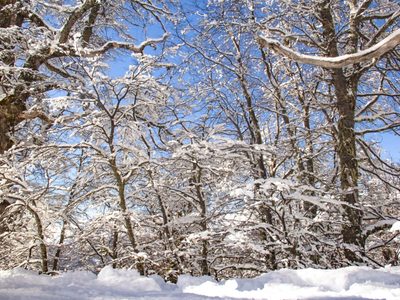 Clima en Neuquén: se viene un miércoles de frío extremo y nieve en la cordillera