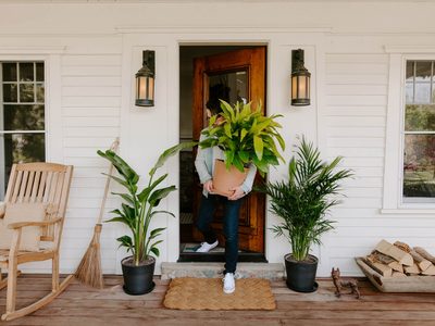 Conocé las plantas de interior que conquistarán el 2021