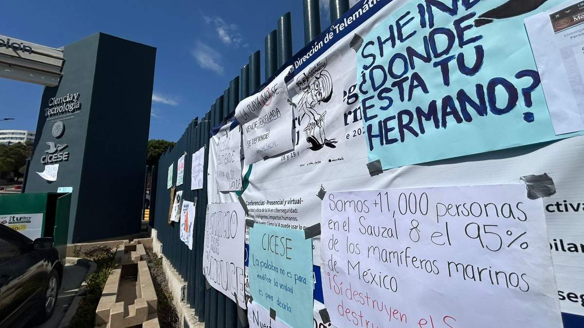 Activistas exigen a Julio Sheinbaum, hermano de Claudia Sheinbaum, defender a Ensenada de megapuerto