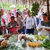 Con el apoyo a 230 mil ejidatarios, Sembrando Vida superará meta prevista para 2019: Albores González