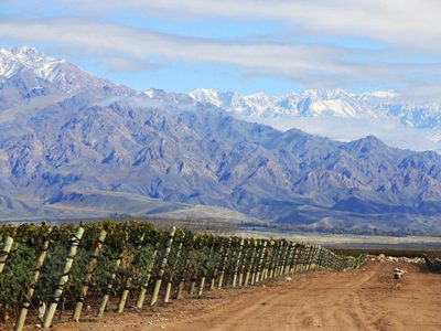Firman un convenio entre Maipú y la Corporación Vitivinícola