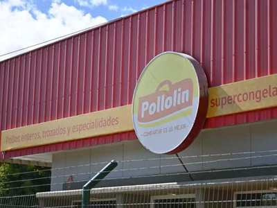 La empresa Pollolín recuperó sus granjas tras el brote de gripe aviar