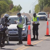 Licencias de conducir: cuándo vuelve la atención en Neuquén Capital
