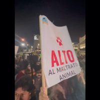 Colectivos y activistas cierran calles de Puebla en demanda de acciones contra el maltrato animal