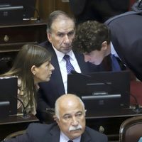 "No tiene nada que ver con la pandemia": senador del PRO criticó el impuesto a las grandes fortunas