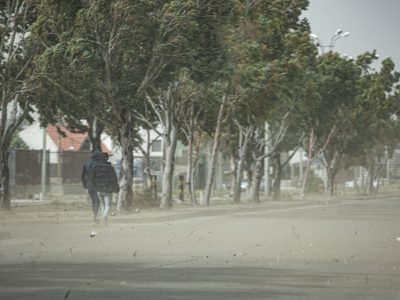 Clima en Neuquén: nueva jornada con viento y nevadas en la cordillera