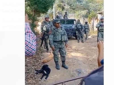 “Malamente ya está infestado”: Militar responde a campesinos de Chiapas que exigen frenar la violenc