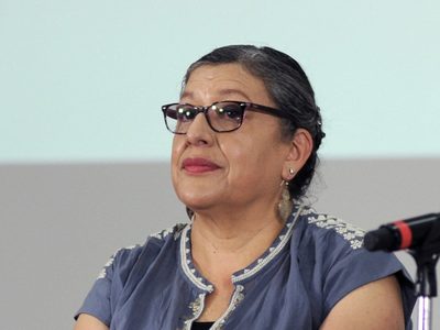 ONU-DH cuestiona nombramiento de Guadalupe Reyes Sahagún en la CNB