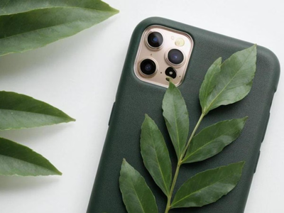 Poné la hoja de esta poderosa planta en tu celular para desbloquear el dinero y recibir abundancia