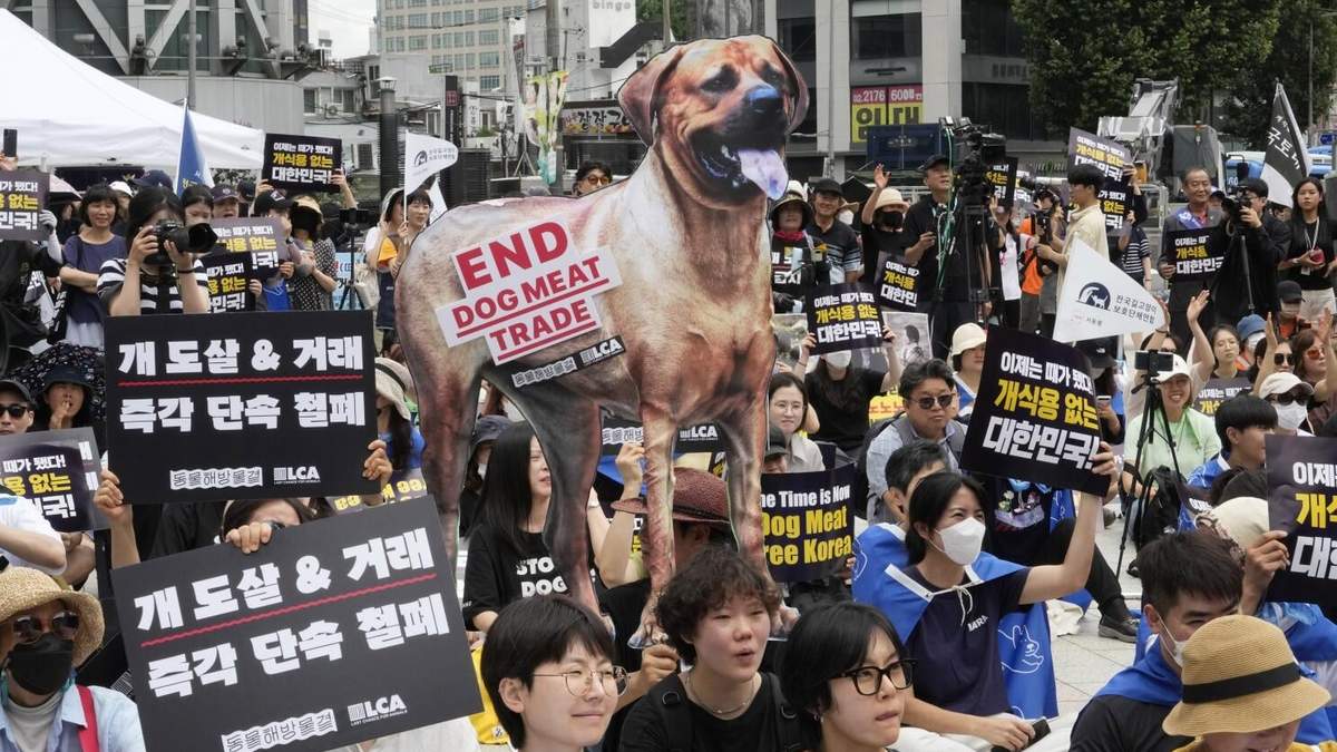 En esta imagen de archivo, activistas por los derechos de los animales, durante una concentración contra la práctica cultural surcoreana de comer carne de perro, en Seúl, Corea del Sur, el 8 de julio de 2023