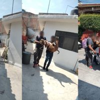 Un pitbull ataca a un niño que regresaba del kínder y le deja graves heridas en el cráneo