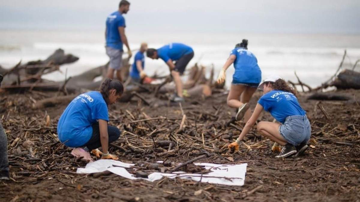 Voluntarios para cuidar el planeta. Fuente: (Instagram)
