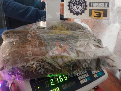 Secuestraron más de 2 kilos de marihuana en una vivienda de Aluminé