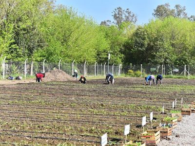 Crean una huerta orgánica municipal en una localidad bonaerense