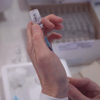La provincia recibió un lote de 2.340 vacunas Pfizer﻿