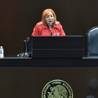 Renovación de la CNDH: sin “línea directa”, Rosario Piedra suma apoyos en el Senado