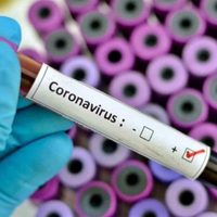 Alerta en Brasil: identifican una nueva cepa de coronavirus en Río de Janeiro