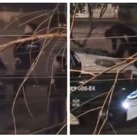 Graban a policías de la CDMX golpeando a un joven en la colonia Roma (Video)