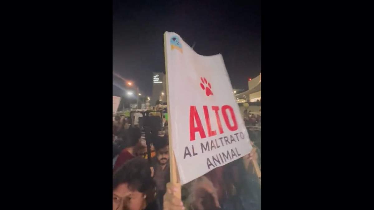 Manifestación nocturna
