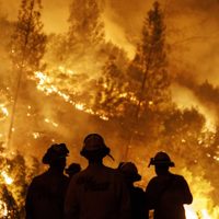 Tierra arrasada: los incendios no dan tregua en Córdoba
