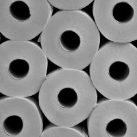No tires los rollos de papel higiénico: creá esto tan chic para tus plantas o para colocar lo que quieras