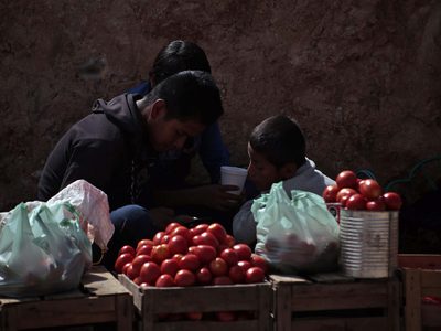 Consumidores mexicanos pagarán el precio del arancel al jitomate impuesto por EU: ANPEC