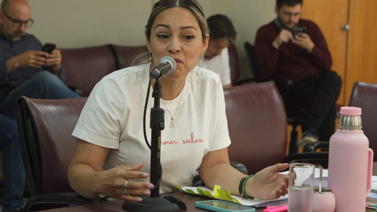 La diputada provincial, Carina Riccomini. Fuente: (Emiliano Ortiz)