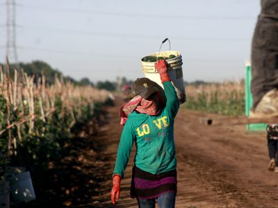 México esquiva la recesión con alfileres en el primer trimestre de 2025: Inegi