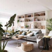 Si querés una planta de exterior y sombra, vas a amar estas opciones