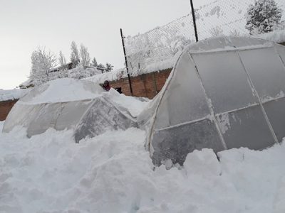 Zapala: la nieve causó importantes daños en el invernadero del Centro de Día