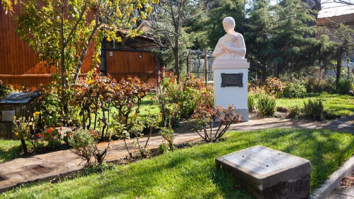 Dos hermanos, vecinos de San Martín de los  Andes,realizaron los trabajos. Fuente: (Twitter).