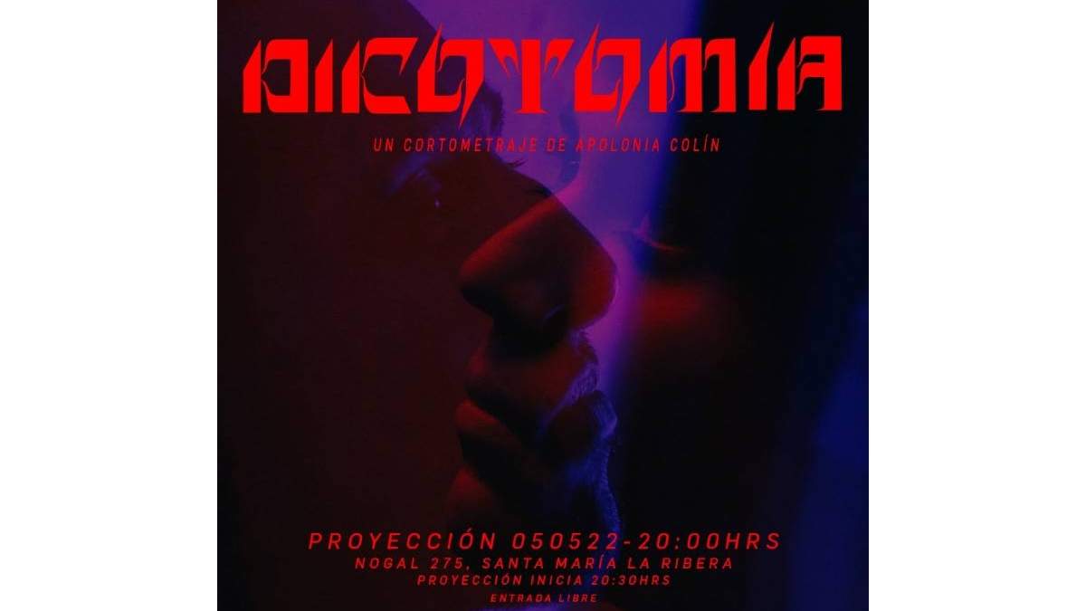 Dicotomía, de Apolonia Colín