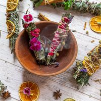 Las 2 poderosas plantas que seguramente tenés en casa y con las que podés atraer la abundancia a tu vida