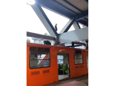 Hombre sube a estructura del Metro Constitución para lanzarse; policías intervienen y lo bajan