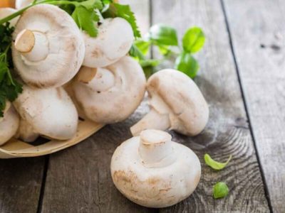 Secreto que no falla: no gastés una fortuna y cultivá tus propios champiñones