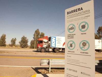 El Gobierno prorroga por 60 días la suspensión del ingreso de carne con hueso a la Patagonia