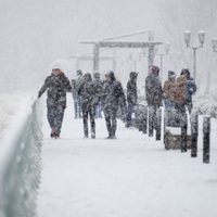 Alerta amarilla por nevadas intensas y viento blanco en la cordillera de Neuquén