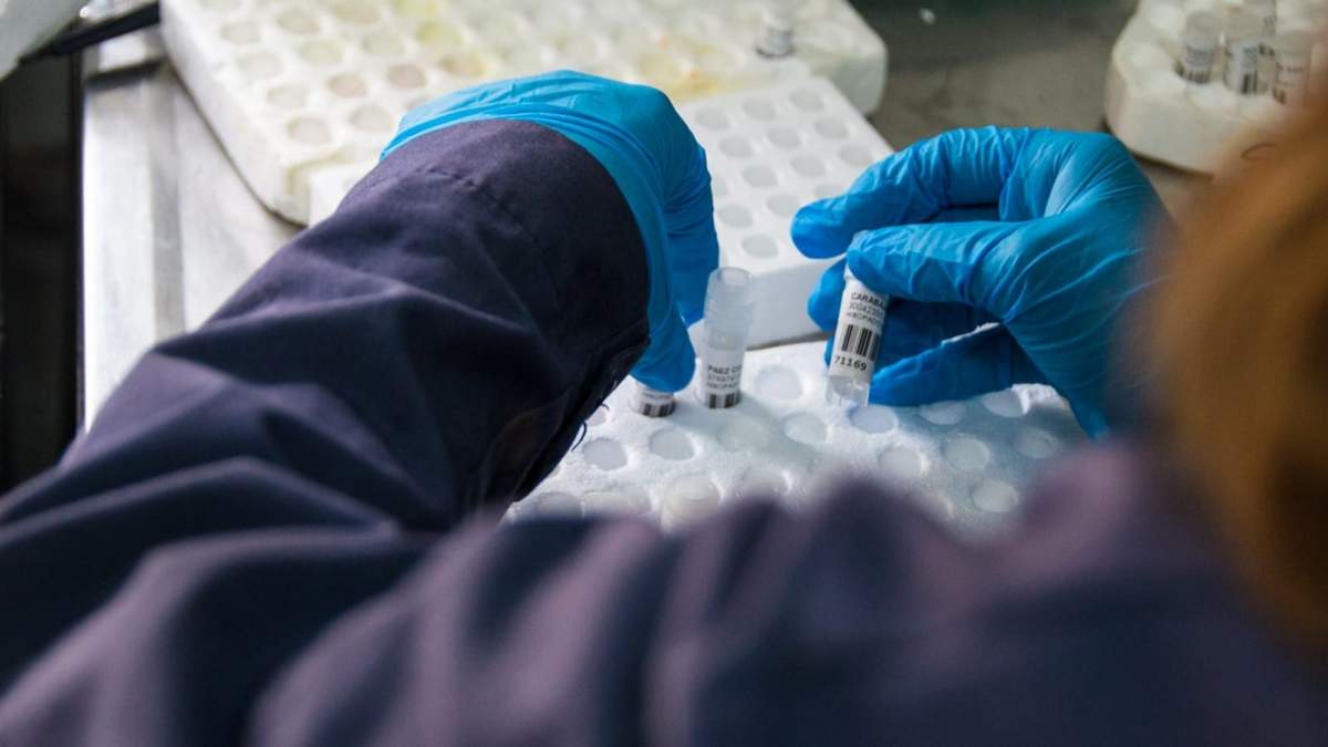 Análisis de pruebas PCR. Fuente: (Twitter)