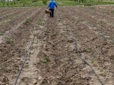 Permitirán trabajar los huertos familiares en comunidades españolas