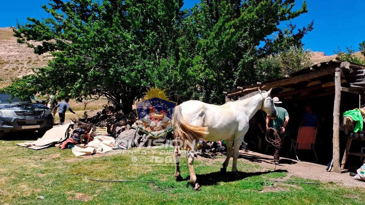 El caballo fue llevado a un sector de veranada. Fuente: (Policía Neuquén)