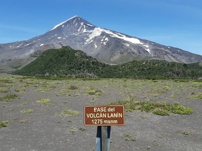 Advierten sobre el peligro de ir con mascotas al Parque Nacional Lanín: de cuánto son las multas