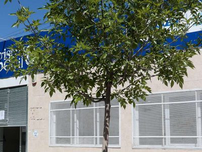Los registros civiles de Neuquén extenderán el horario de atención por las elecciones