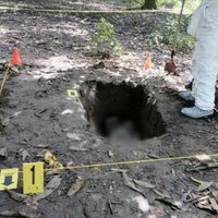 Encuentran seis fosas clandestinas con cuerpos en Colima