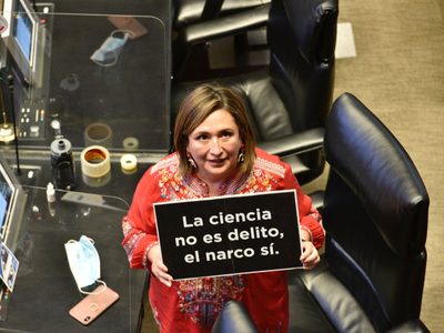 Xóchitl Gálvez pide a Gertz que "deje a la ciencia en paz" y persiga al hijo de El Chapo