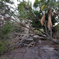Tormenta provoca deceso de una menor y diversos daños materiales en Morelos