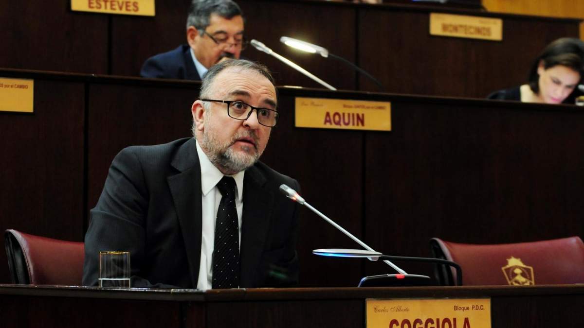 Coggiola propone una ley de abordaje integral para las personas con síndrome de Down. Fuente: (Javier Manzano).
